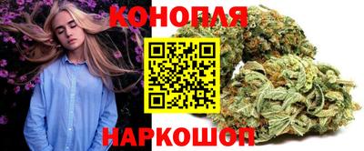 шишки Будённовск
