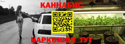 шишки Будённовск