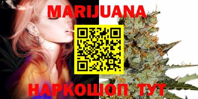 шишки Будённовск