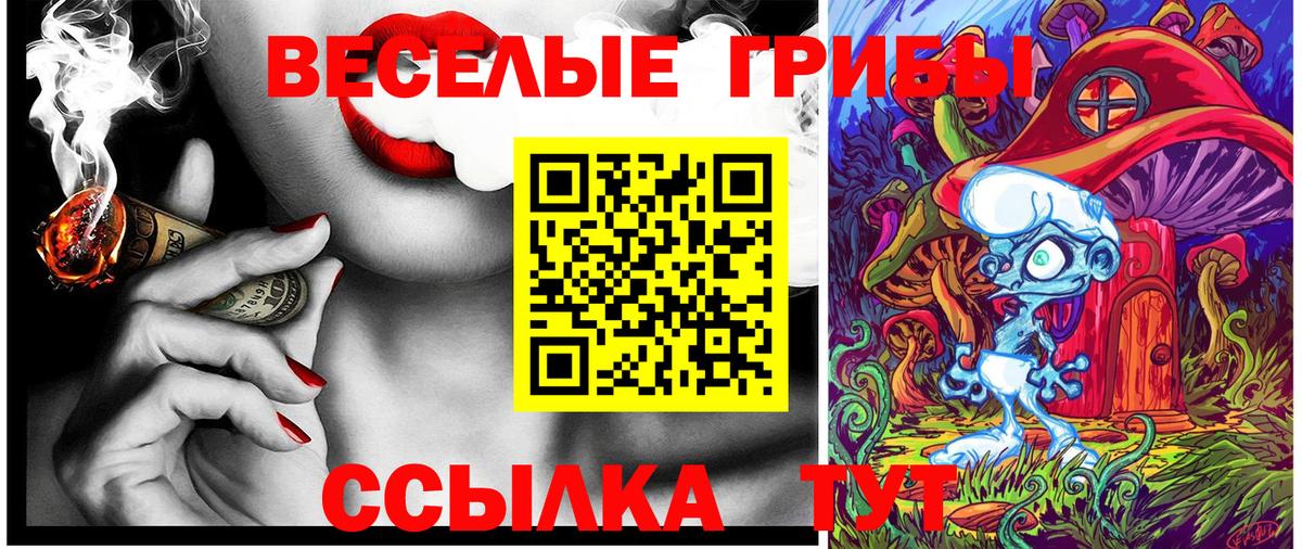 Подольск  Псилоцибиновые грибы MAGIC MUSHROOMS  Вход с VPN 