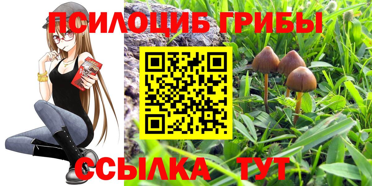 Галлюциногенные грибы мицелий Подольск